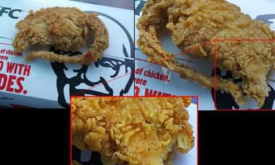 Did KFC just add Kentucky Fried Rat to its menu