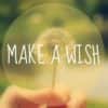 Make a Wish- mybigplunge