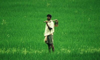 Indian Agri Economy gets Rs 1 lakh crore in Agriculture Infrastructure Fund