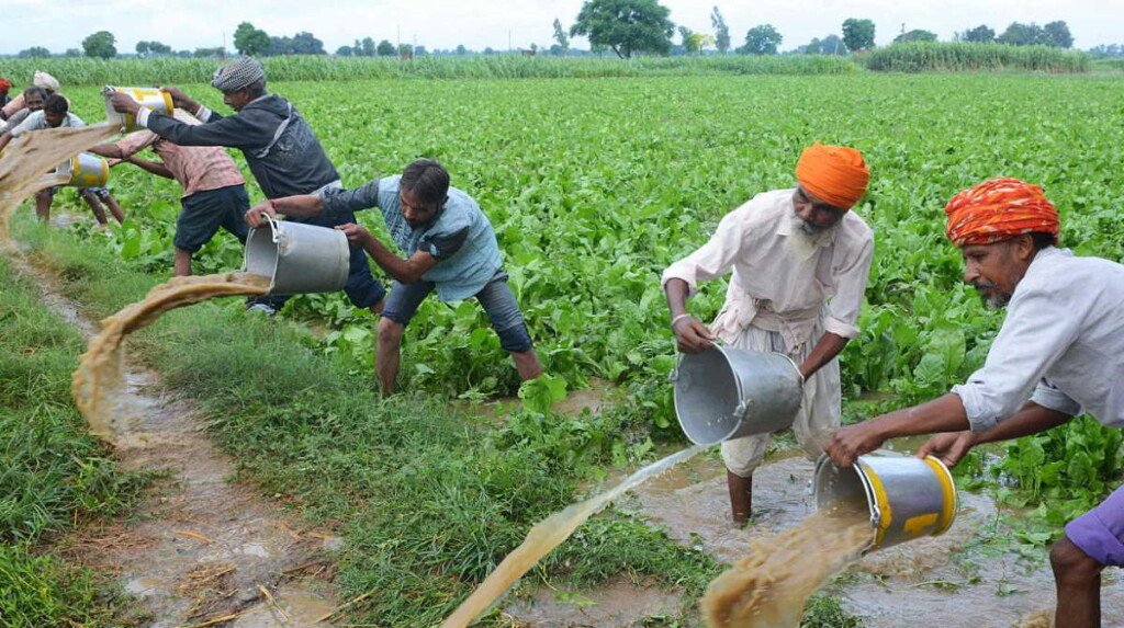 importance-role-of-agriculture-in-indian-economy