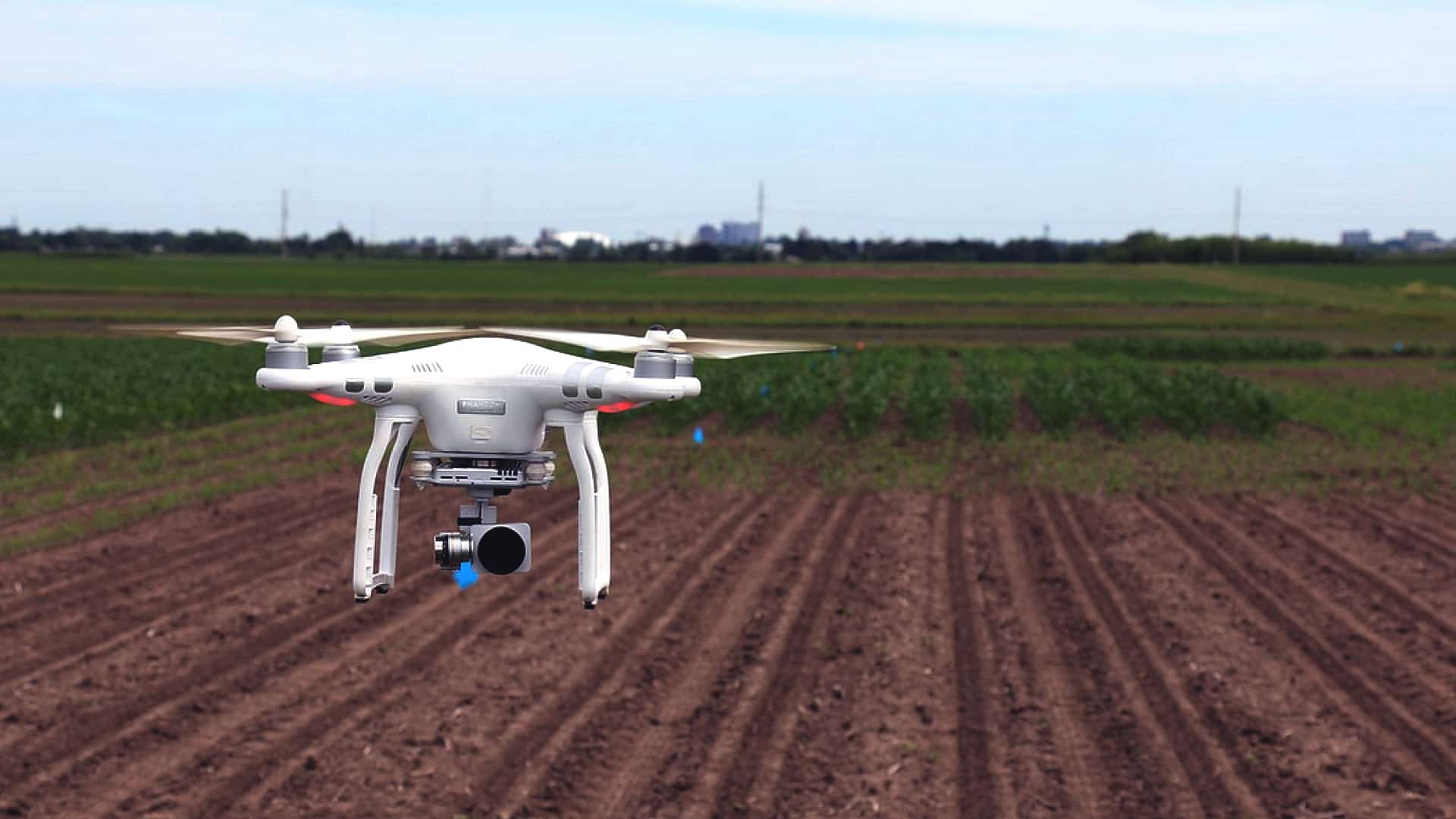Crop insurance: Agri ministry seeks DGCA nod for taking drone-based crop images in 10