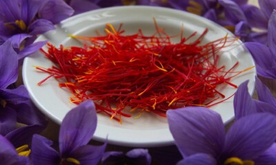 Saffron production no longer restricted to Kashmir, soon to expand to North East of India