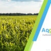 Agri-tech startup Aqgromalin raises Rs 2 crore from angel investors