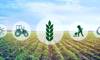Agritech firm Arya partners Canara Bank to help farmers, FPOs