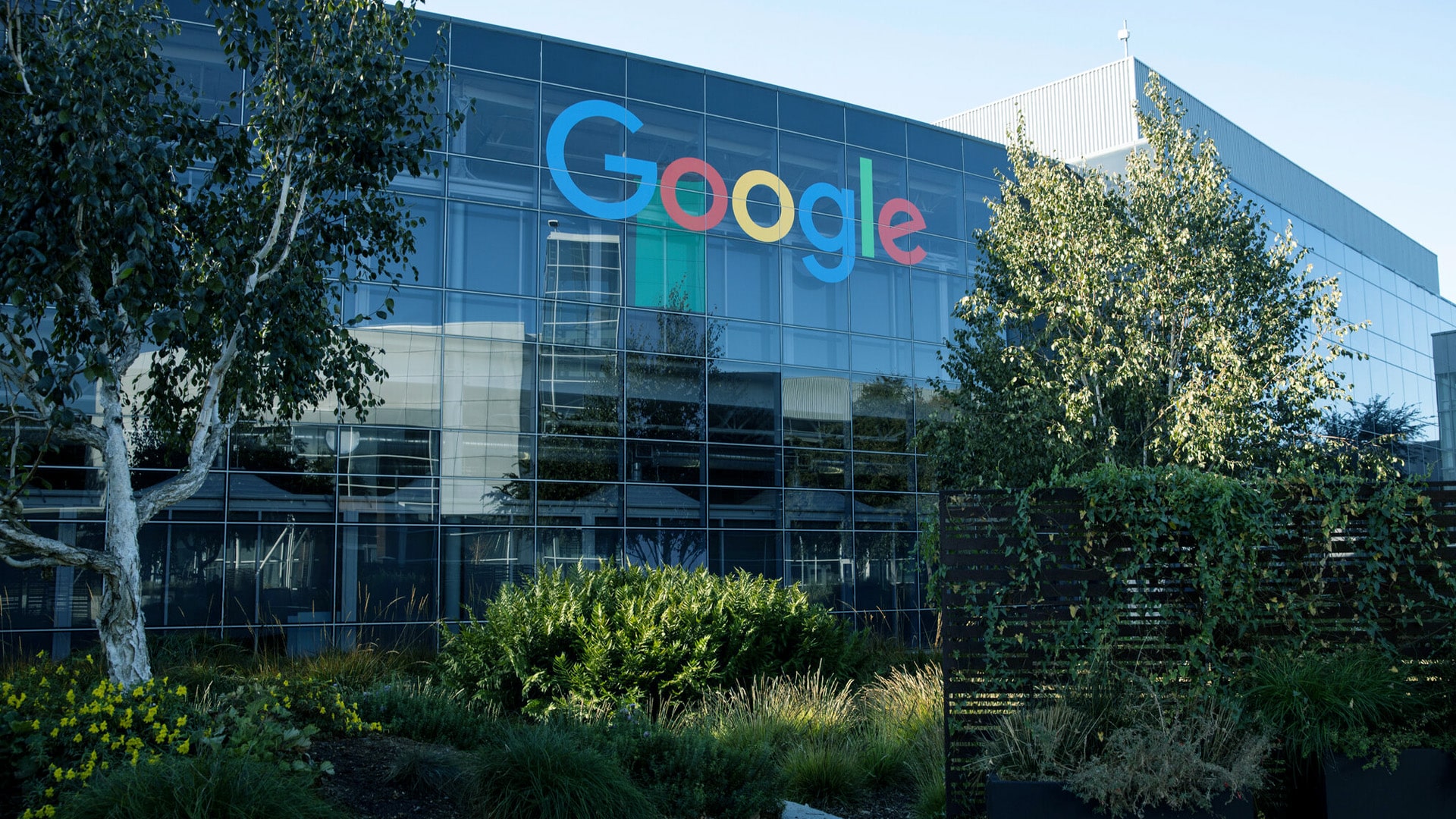 Google seeks exemption from Centre's new IT rules