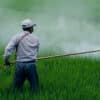 fertiliser agriculture