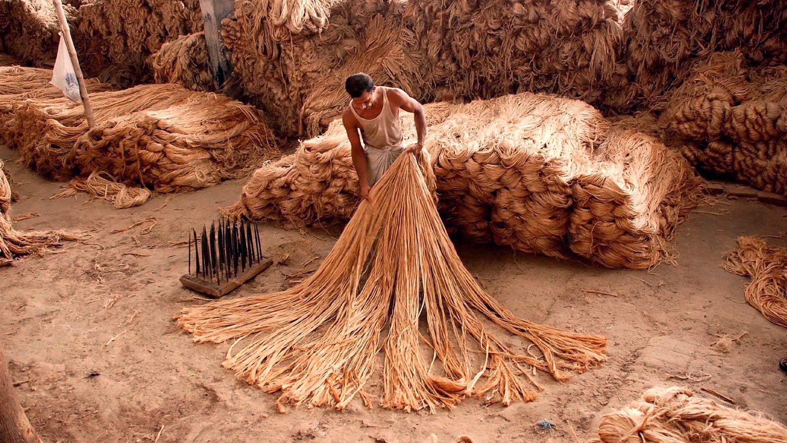 Amid skyrocketing raw jute prices, Centre may have to bear Rs 2000 cr to procure jute bags Business