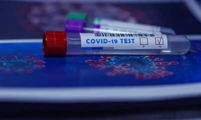 IIT-B scientist gets DCGI nod to launch algo-based COVID-19 testing tool