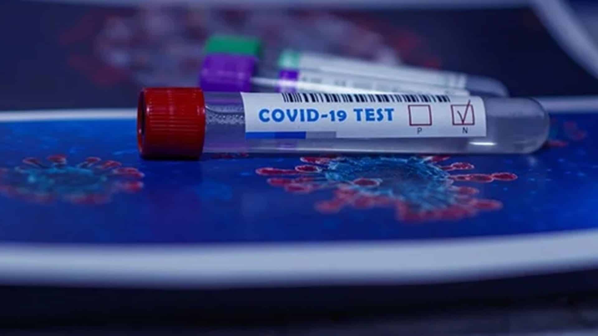 IIT-B scientist gets DCGI nod to launch algo-based COVID-19 testing tool