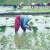 Agri sector exempted from obtaining NOC for ground water extraction: Tomar