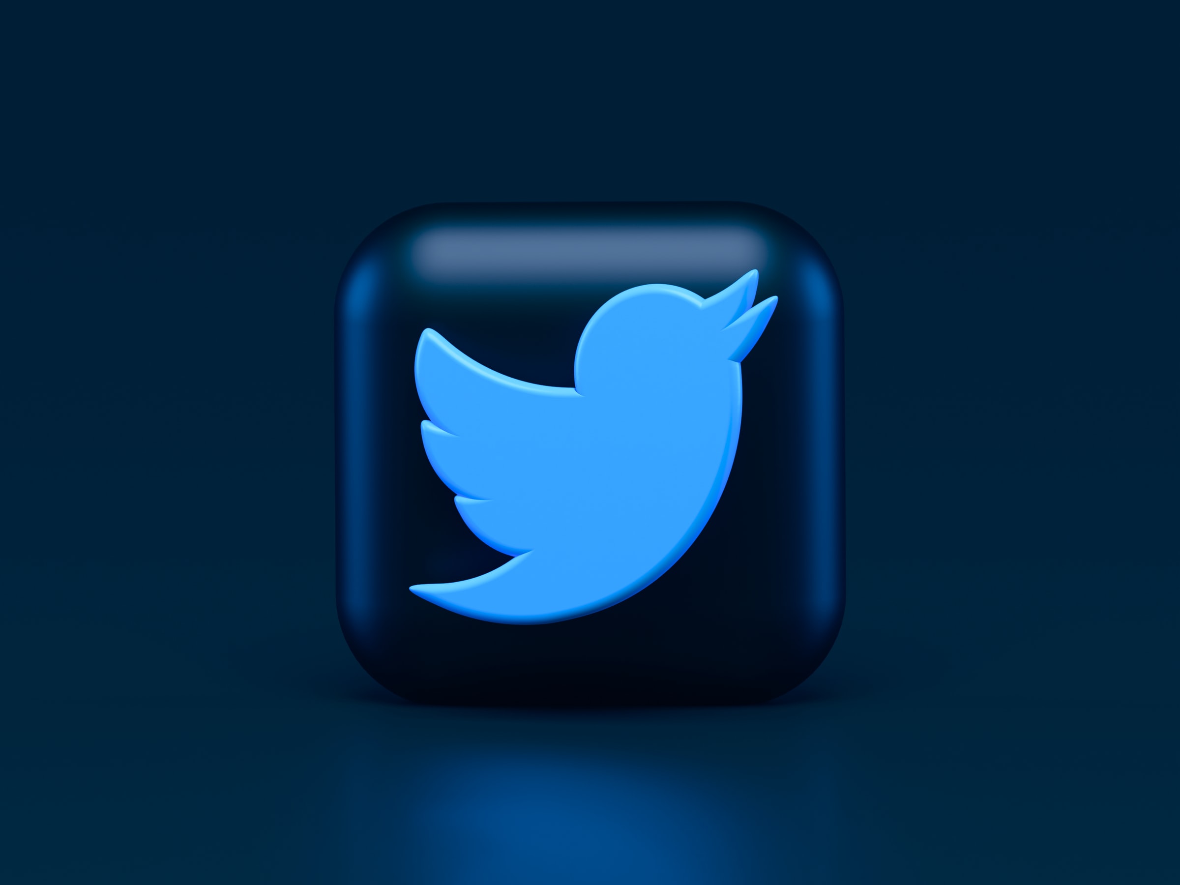 Twitter initiates bug bounty programme to root out algorithmic bias