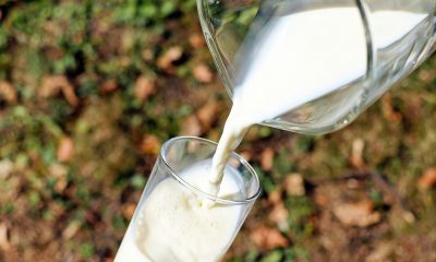 FSSAI asks e-tailers to delist non-dairy products claiming as dairy items