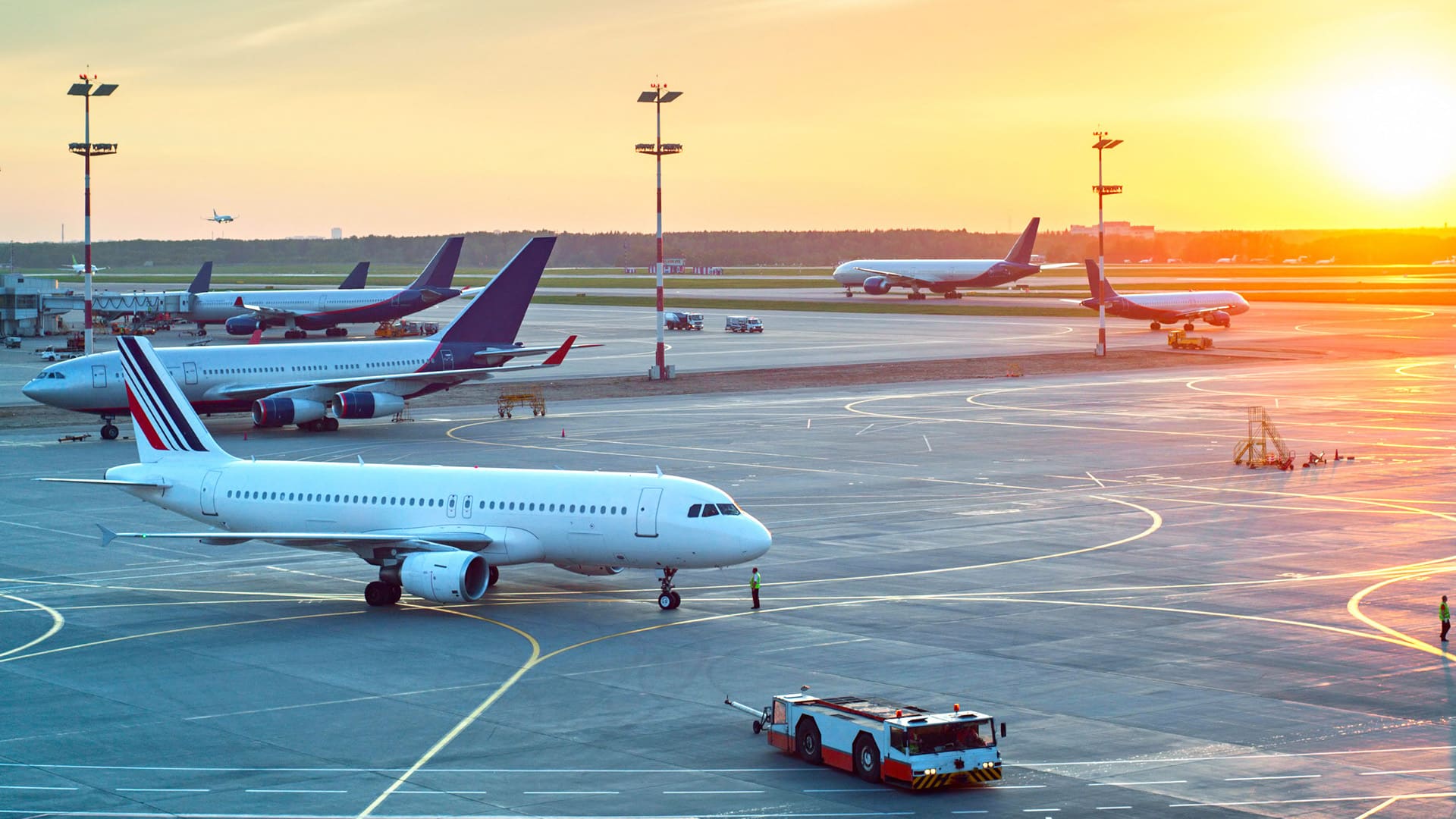 International air travel in 2021 will be just 22 pc of 2019 levels; remains in deep crisis: IATA