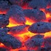 Coal India stops e-auction of coal amid shortage