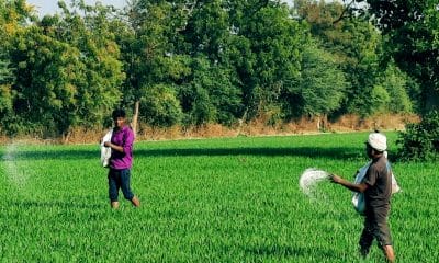 Govt appeals to farmers not to hoard fertilisers as supply in Nov more than demand
