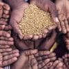 No proposal to extend free ration scheme PMGKAY beyond Nov 30: Food Secy