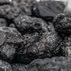 Coal India likely to delay price hike