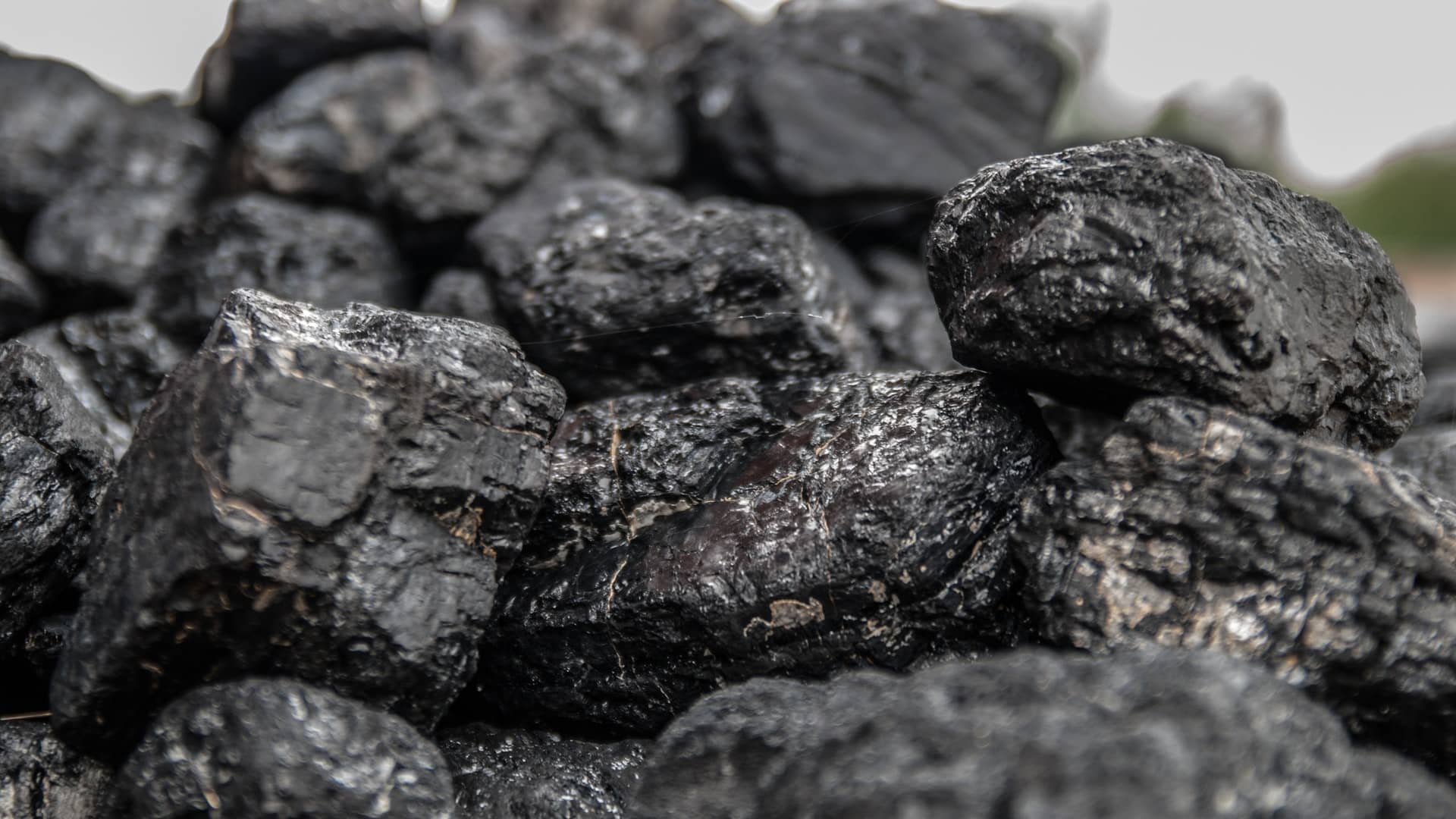 Coal India likely to delay price hike