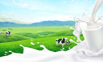 Airtel Business, IBM deploy hybrid cloud solution for 5 milk producer companies