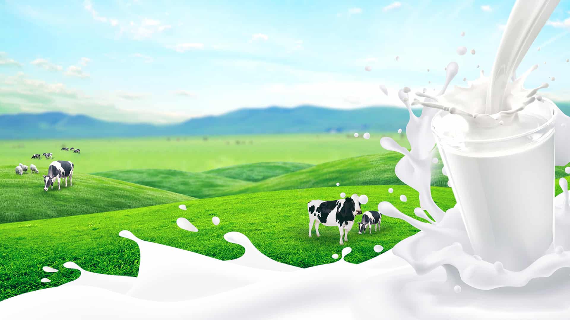 Airtel Business, IBM deploy hybrid cloud solution for 5 milk producer companies