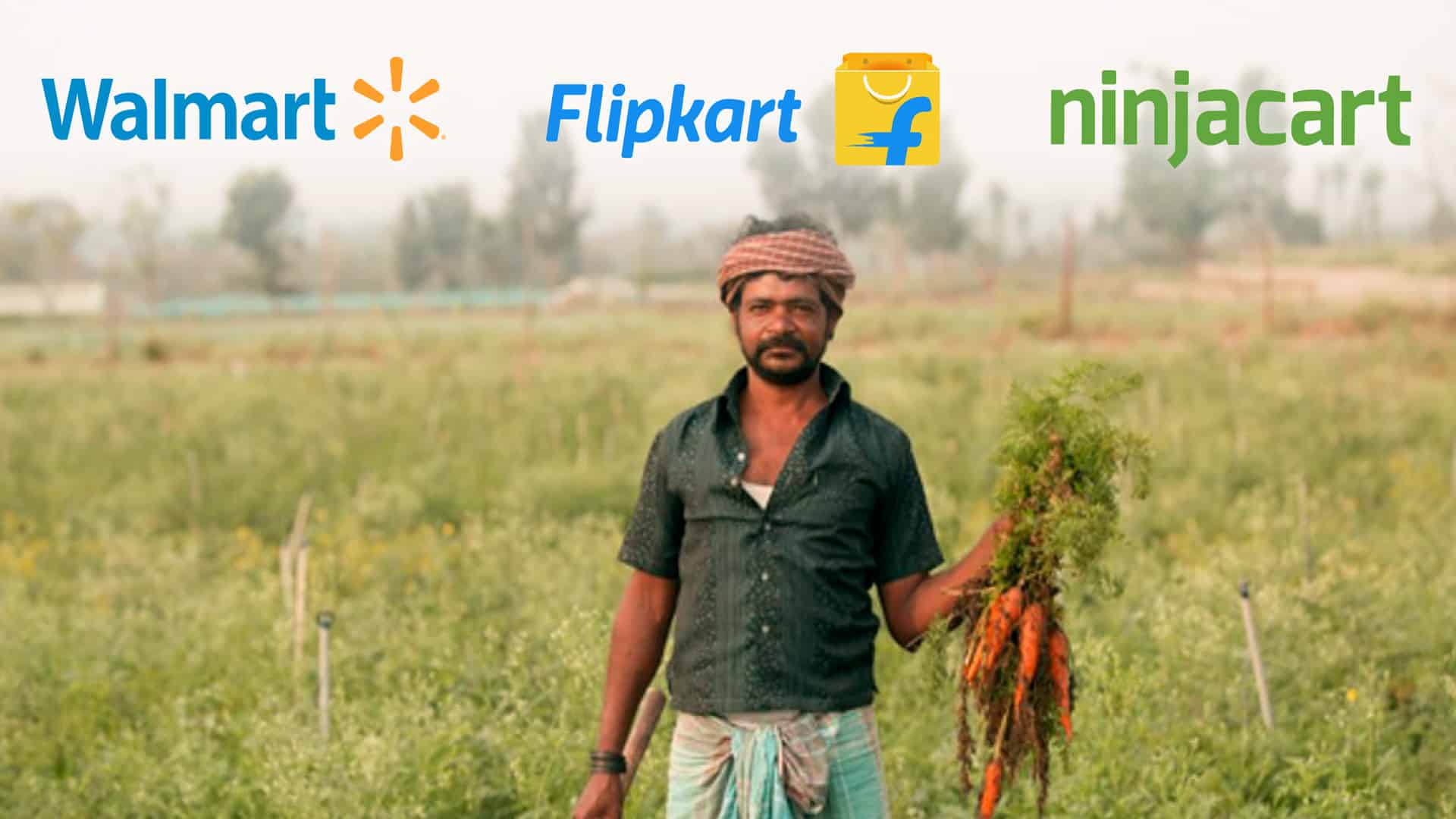 Flipkart, Walmart invest $145mn in Ninjacart
