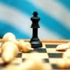 Karnataka chess hit after ban on online gaming: KSCA