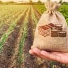 Govt raises farm credit target to Rs 18 lakh cr for FY23