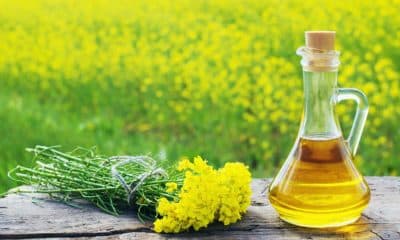Centre clamps down on hoarding of oilseeds, edible oils in 3 states