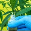 Cannabis wellness startup Awshad witnesses 100 percent growth since its inception in 2021