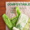 Govt approves startup loan to firm for commercialising 'compostable' plastic