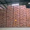 Enough wheat stock in India; Govt to take action against hoarders if needed: Food Secy