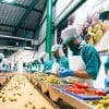 Govt reducing compliances in food processing sector: Union minister