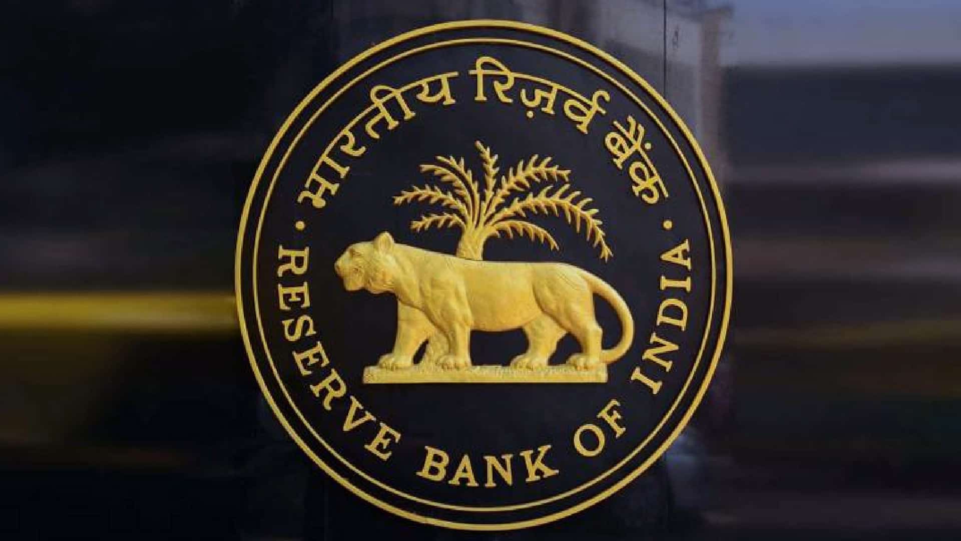 India economic growth 'extremely fragile', needs all support, says RBI MPC member
