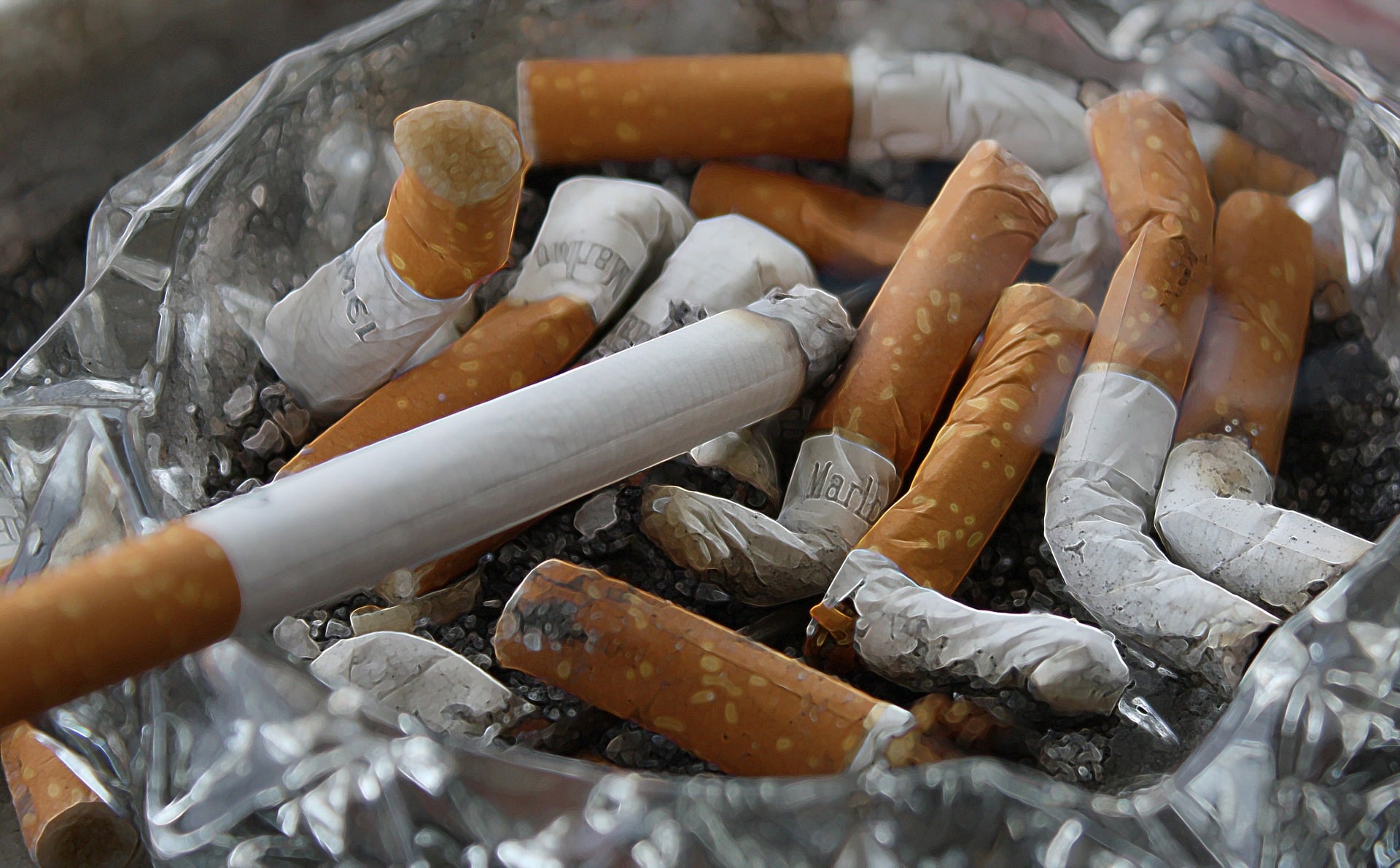Economists and public health experts have welcomed the duty hike on cigarettes in this year's budget and pitched for higher taxes on more tobacco products to make them unaffordable and India tobacco-free in "Amrit Kaal".