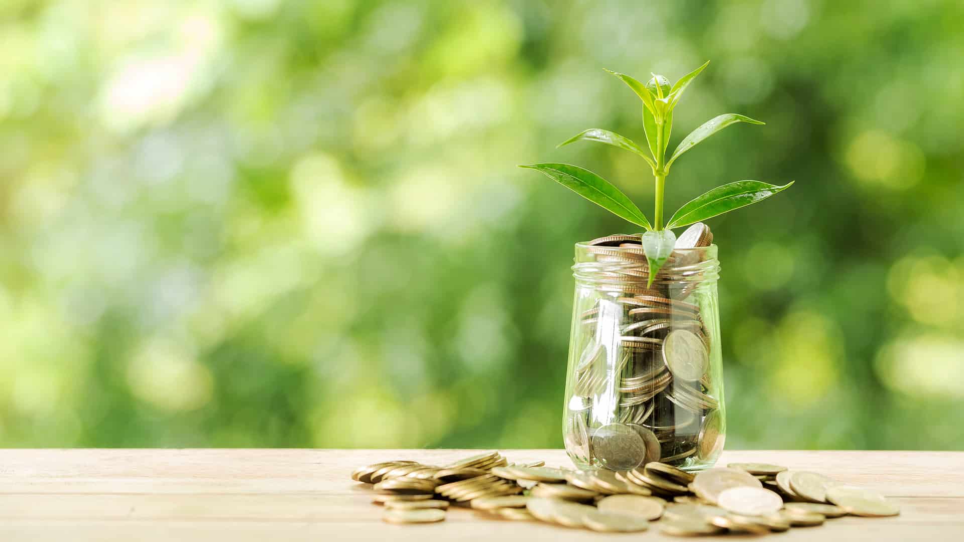 Agritech startup Sorted raises over USD 5 mn as seed funding