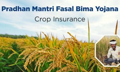 For every Rs 100 of premium paid for crop insurance under PMFBY; farmers received Rs 514 as claims: Govt
