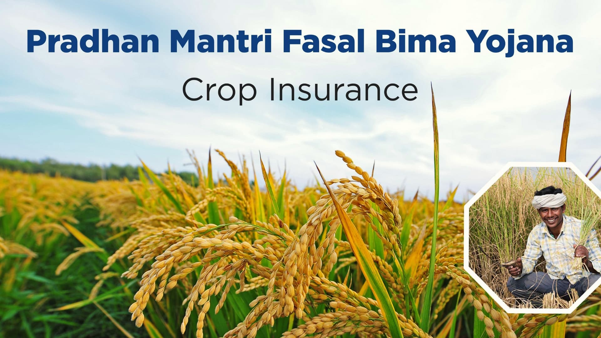 For every Rs 100 of premium paid for crop insurance under PMFBY; farmers received Rs 514 as claims: Govt
