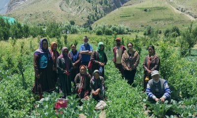 About 1.5 lakh farmers practising natural farming in Himachal to be certified under PK3Y in FY24