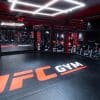 Artaxerxes Fitness, UFC GYM in India, Looking To Raise $15 Million In Series A Round