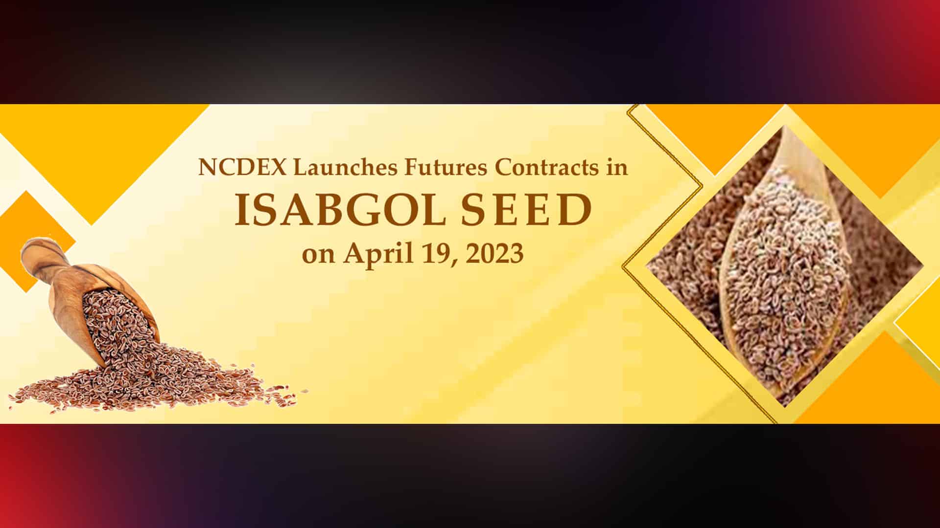 NCDEX launches Isabgol Seed futures contract