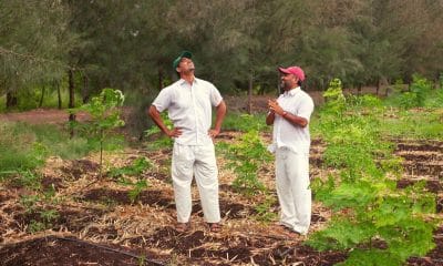 Two Brothers Organic Farms raises Rs 14.5 cr