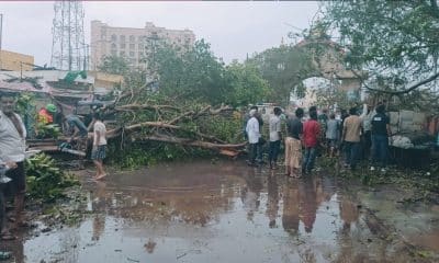 LIC announces relaxations for victims of Biparjoy Cyclone