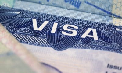 US decision to introduce in-country renewable of H-1B visas to promote India's services exports: SEPC