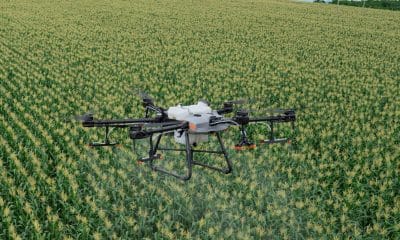 IoTechWorld bags order from IFFCO to supply of 500 agri-drones