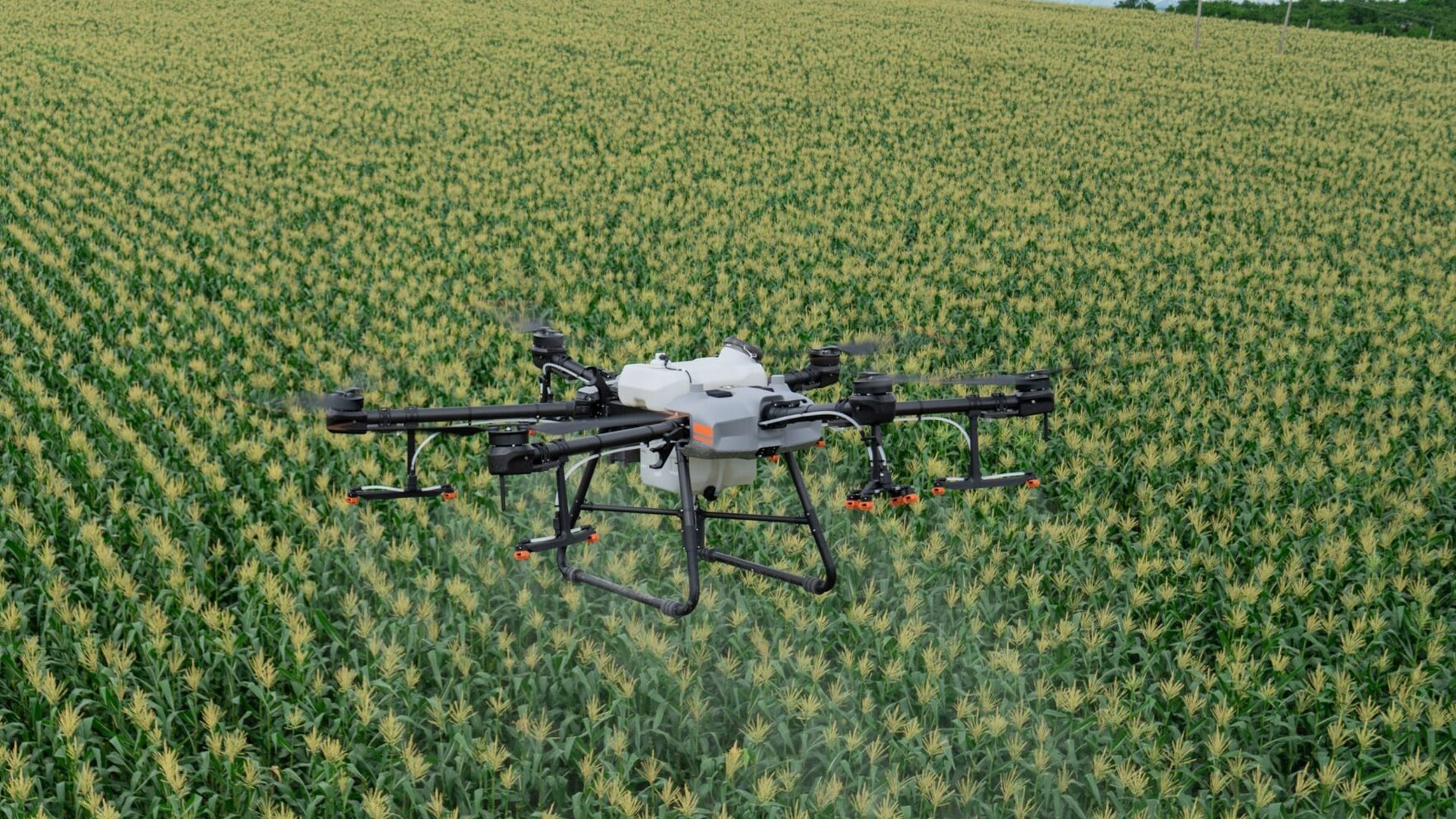 IoTechWorld bags order from IFFCO to supply of 500 agri-drones