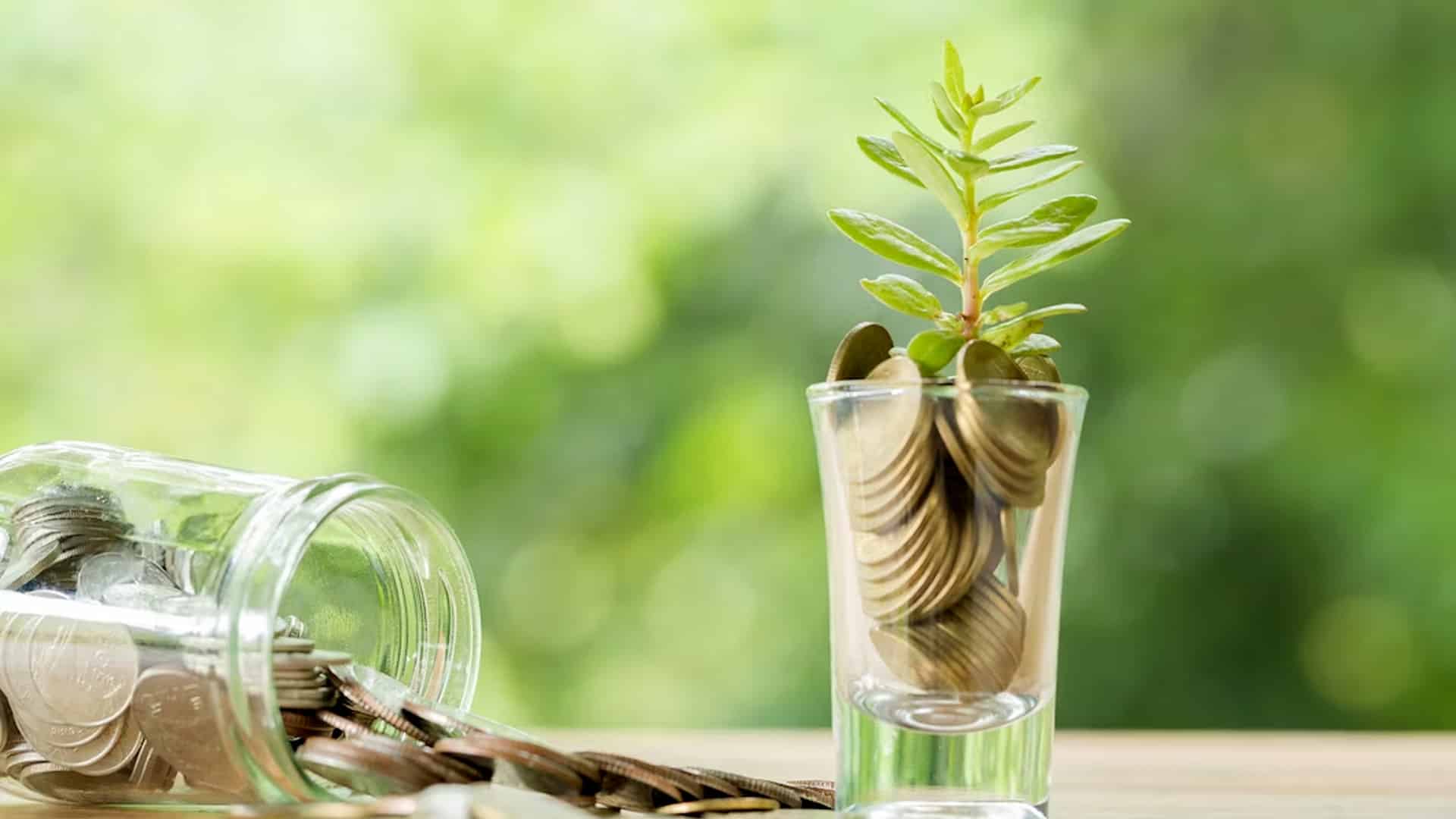Student Run Startup GreenGrahi Raises Pre-Seed Funding from Campus Fund