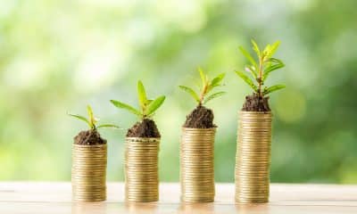 Mufin Green Finance's USD 5 Million Investment from BlueOrchard