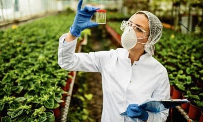 Best Agrolife Ltd Acquires Sudarshan Farm Chemicals India