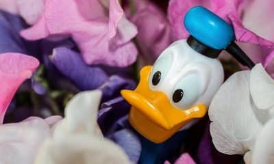 Donald Duck: From 1934 Debut to Everlasting Popularity in Disney History