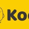 Koo shuts down due to financial difficulties